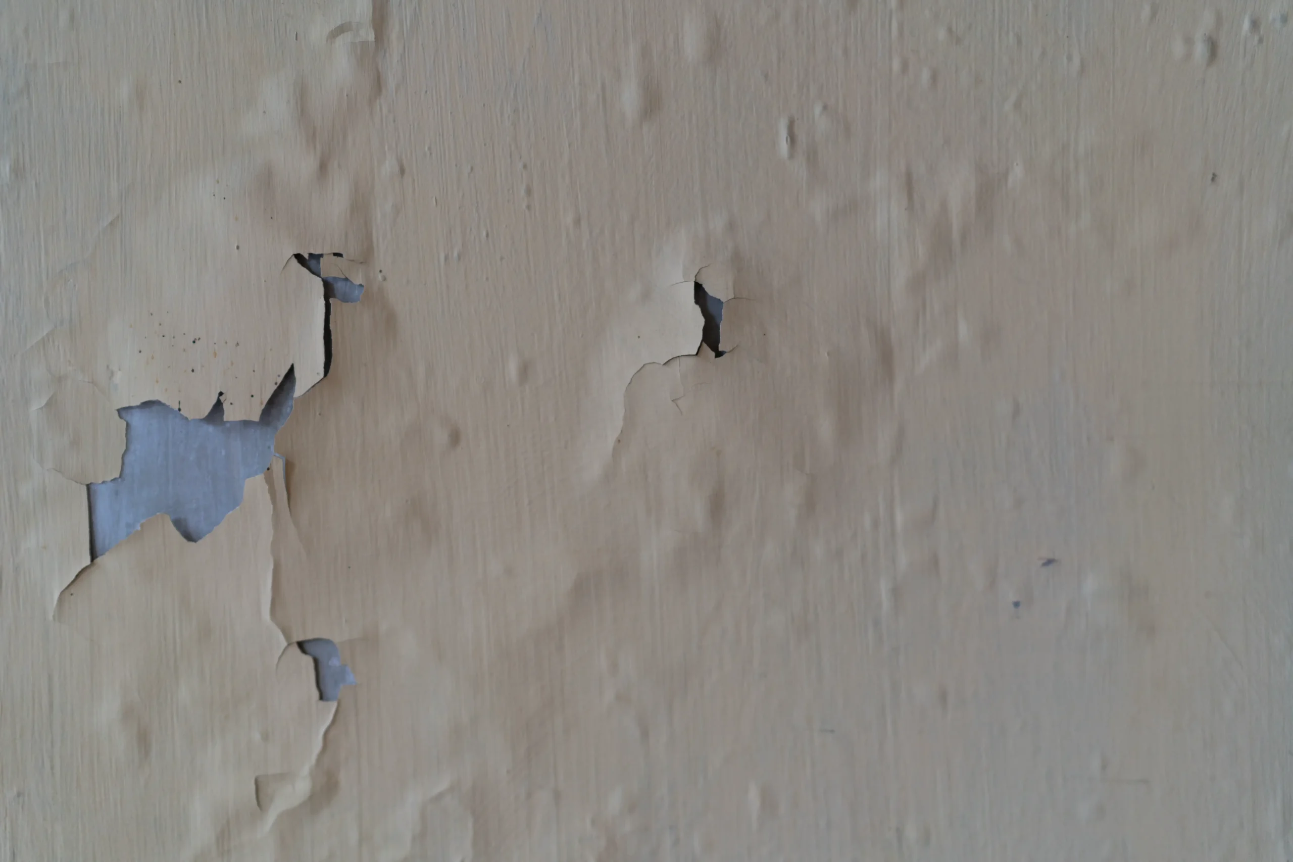 When to Call a Painting Company for Help